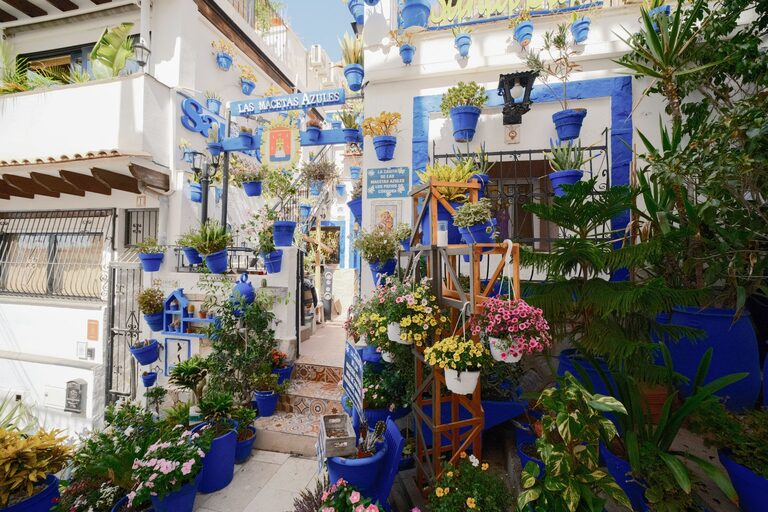 Ideas para crear un rincón verde en espacios pequeños